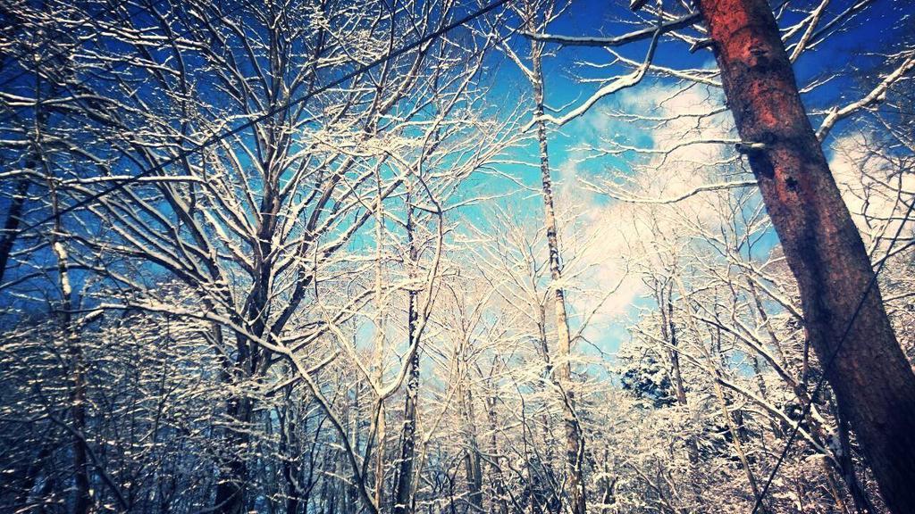 Pension Candytuft Karuizawa Dış mekan fotoğraf