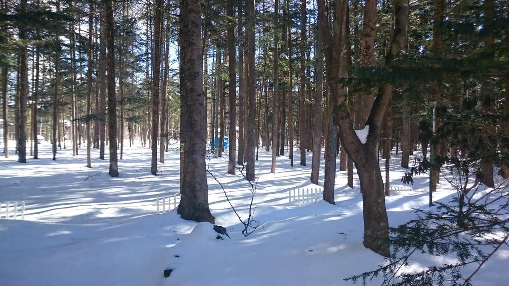 Pension Candytuft Karuizawa Dış mekan fotoğraf