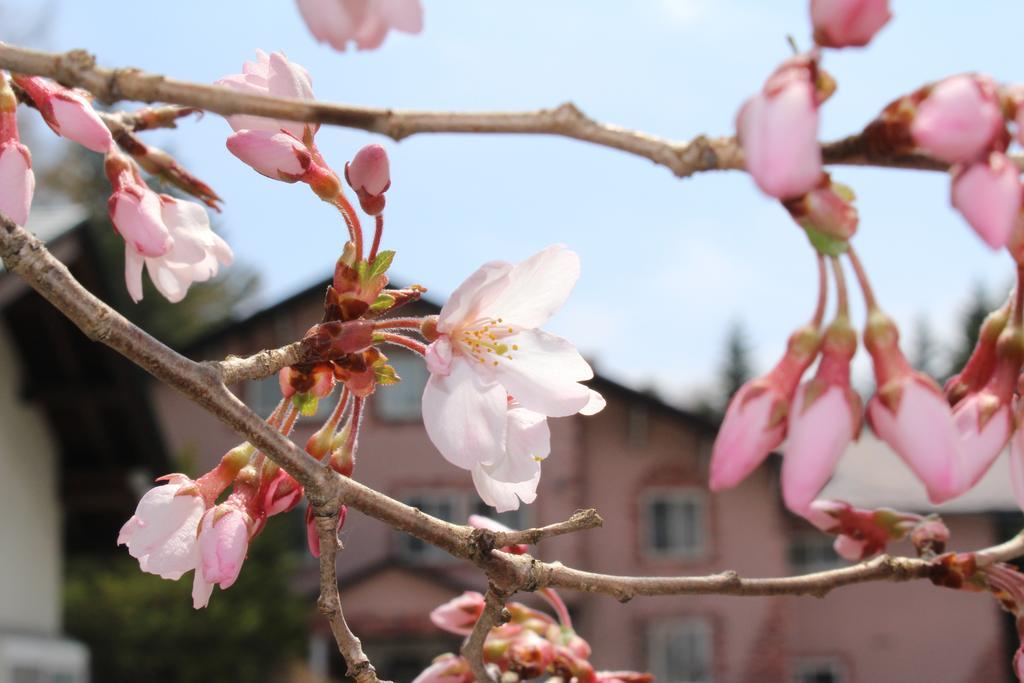 Pension Candytuft Karuizawa Dış mekan fotoğraf