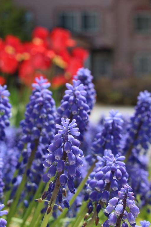 Pension Candytuft Karuizawa Dış mekan fotoğraf