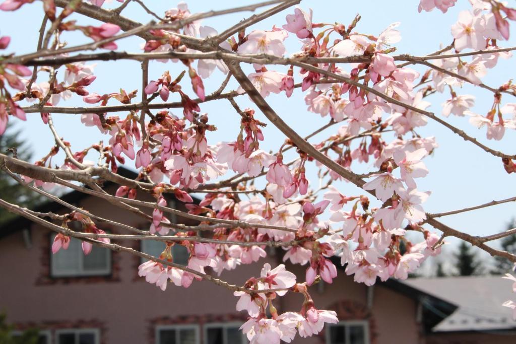 Pension Candytuft Karuizawa Dış mekan fotoğraf