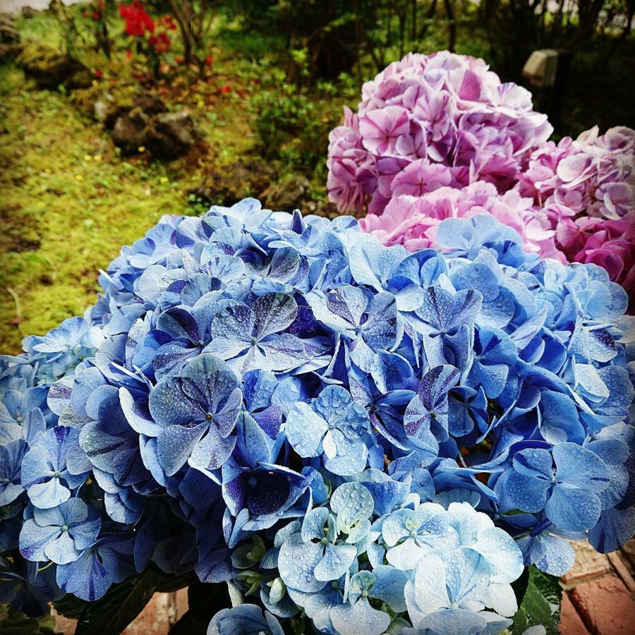 Pension Candytuft Karuizawa Dış mekan fotoğraf